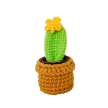 1set Handmade Crosetat Place Forma pentru Totdeauna de Flori pentru Fete Cadou Surpriza Verde de Plante Artificiale, Tricotate Cactus Ghivece Decor Acasă