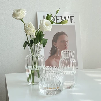 Nordic Sticla Vaza de Flori Ins Flori de Sticla Transparent Hidroponice Vaza de Sticla pentru Flori Desktop Acasă Decor Vaza